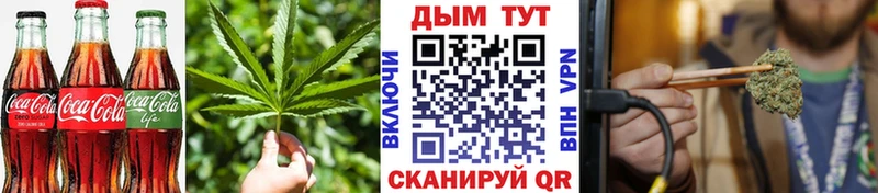 Cannafood конопля  купить  сайты  Чкаловск 