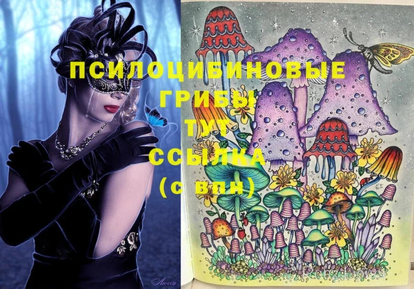 спиды Абинск