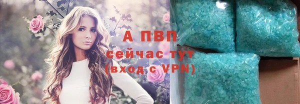 a pvp Абаза